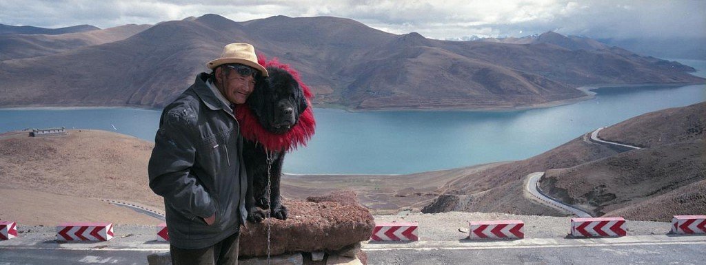 Mastif tybetański w ojczyźnie