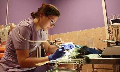 ultradźwiękowe czyszczenie zębów w klinice